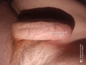 Жиголо Павлодара Анкета №511970 Фотография №3823097