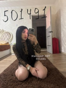 Транс Шымкента Транс№501491 Алсу есть Приват Фотография №3904808