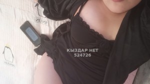 Проститутка Алматы Анкета №524726 Фотография №3920966