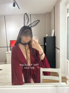 Проститутка Астаны Девушка№444788 Даяна Фотография №3929419