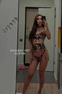 Транс Алматы Транс№219799 Д-И-Н-А Метиска Канал на продажу Фотография №3941852