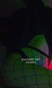 Проститутка Астаны Девушка№530801 Светлана сладкая Фотография №3965030